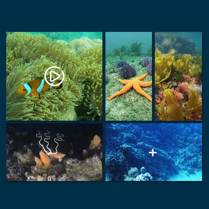 50% off this week! 🎉🎉 The app-controlled surface drone for exploring bodies of water
